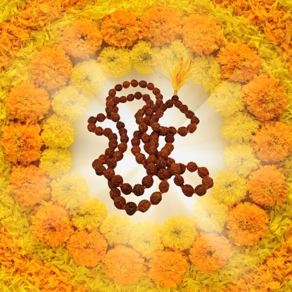 5 Mukhi Indonesian Rudraksha Mala - 108 Beads